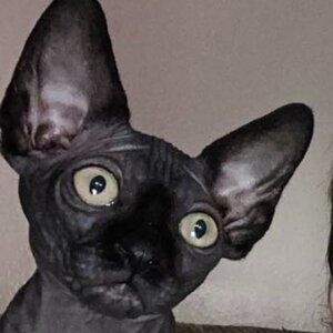 Meet your Posher, Nichole